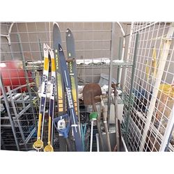 LOT OF ASSORTED SKIES & COOL GARDEN TOOLS