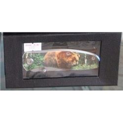 NEW FOLDING KNIFE - BEAR IMAGE