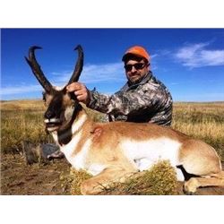 Colorado Pronghorn Hunt for 2