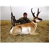 Image 2 : Colorado Pronghorn Hunt for 2