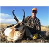 Image 3 : Colorado Pronghorn Hunt for 2