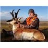 Image 5 : Colorado Pronghorn Hunt for 2