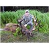 Image 1 : 4 Day Red Stag Hunt in Quebec