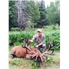 Image 3 : 4 Day Red Stag Hunt in Quebec