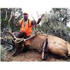 Image 3 : 5 Day Combo Hunt In Southwest Colorado