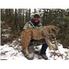 Image 6 : 7 Day Cougar Hunt in British Columbia