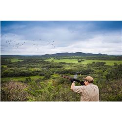 Argentina Dove Hunt for 4