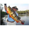 Image 1 : 6 Day Peacock Bass Fishing for 2 in Brazil