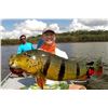 Image 4 : 6 Day Peacock Bass Fishing for 2 in Brazil