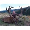 Image 2 : 5 Day Red Stag Hunt for 2 in New Zealand