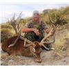 Image 2 : Argentina Red Stag Hunt