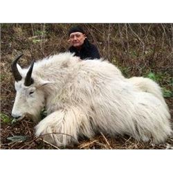 Mountain Goat Hunt for 1 in British Columbia