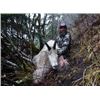 Image 3 : Mountain Goat Hunt for 1 in British Columbia