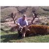 Image 4 : 5 Day Tahr Hunt for 2 in New Zealand
