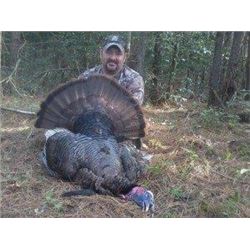 Turkey Hunt for 4 Hunters in Maryland