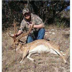 4 Day Axis Deer Hunt for 1 Hunter in Texas