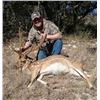 Image 1 : 4 Day Axis Deer Hunt for 1 Hunter in Texas