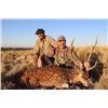 Image 2 : 4 Day Axis Deer Hunt for 1 Hunter in Texas