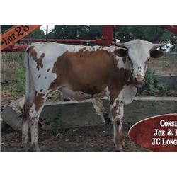 IRON VICKIE 622