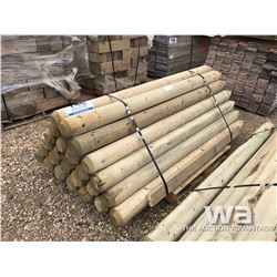 BUNDLE OF 6"X6 FT.  TREATED POSTS