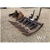 Image 1 : WBM 60" BRUSH RAKE