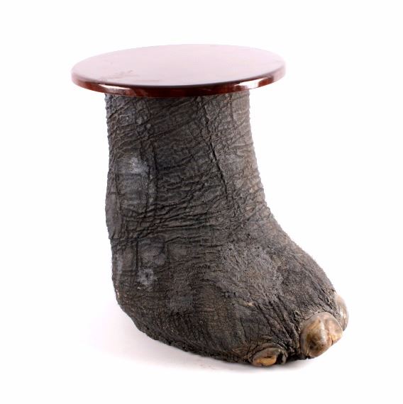 Elephant Foot Mahogany End Table