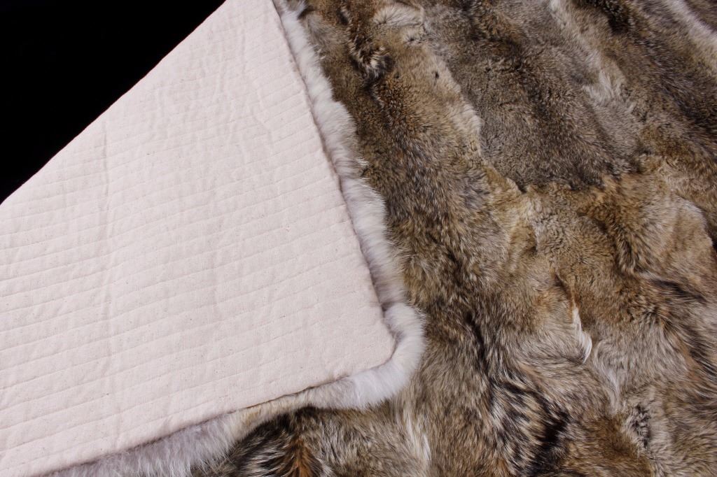 Queen Size Coyote Pelt Blanket