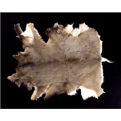 Montana Mule Deer Hide