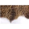 Image 2 : Montana Wild American Bison Fur Hide Rug