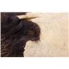 Image 3 : Montana Wild American Bison Fur Hide Rug