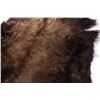Image 5 : Montana Wild American Bison Fur Hide Rug