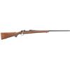 Image 1 : Ruger 37116 Hawkeye Standard Bolt 204 Ruger 24" 5+1 American Walnut Stk Blued