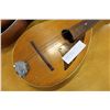 Image 2 : LIGMATONE MANDOLIN AND ACOUSTIC GUITAR