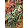 Image 1 : ARTIFICAL FIG TREE