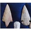 Image 2 : Illinois Flint Collection