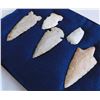 Image 8 : Illinois Flint Collection