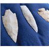 Image 8 : Illinois Flint Collection
