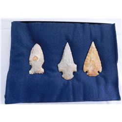 Illinois Flint Collection