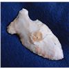 Image 8 : Illinois Flint Collection