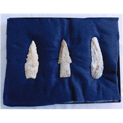 Illinois Flint Collection