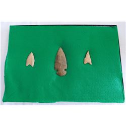 Illinois Flint Collection