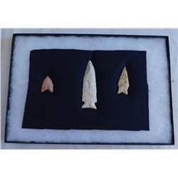Illinois Flint Collection