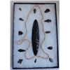 Image 1 : California Artifact Collection