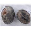 Image 8 : 2 Dinosaur Eggs