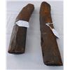 Image 2 : Dinosaur Rib Bone Fossils
