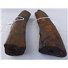 Image 8 : Dinosaur Rib Bone Fossils