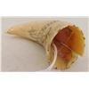 Image 8 : Polynesian Lizard Scrimshaw