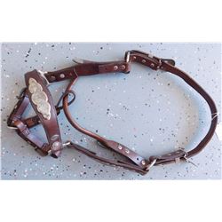 Silver Horse Headstall