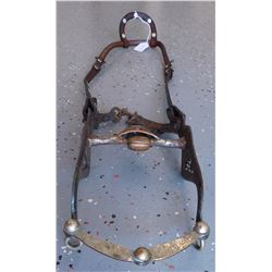 Silver Horse Bridle