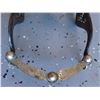 Image 2 : Silver Horse Bridle